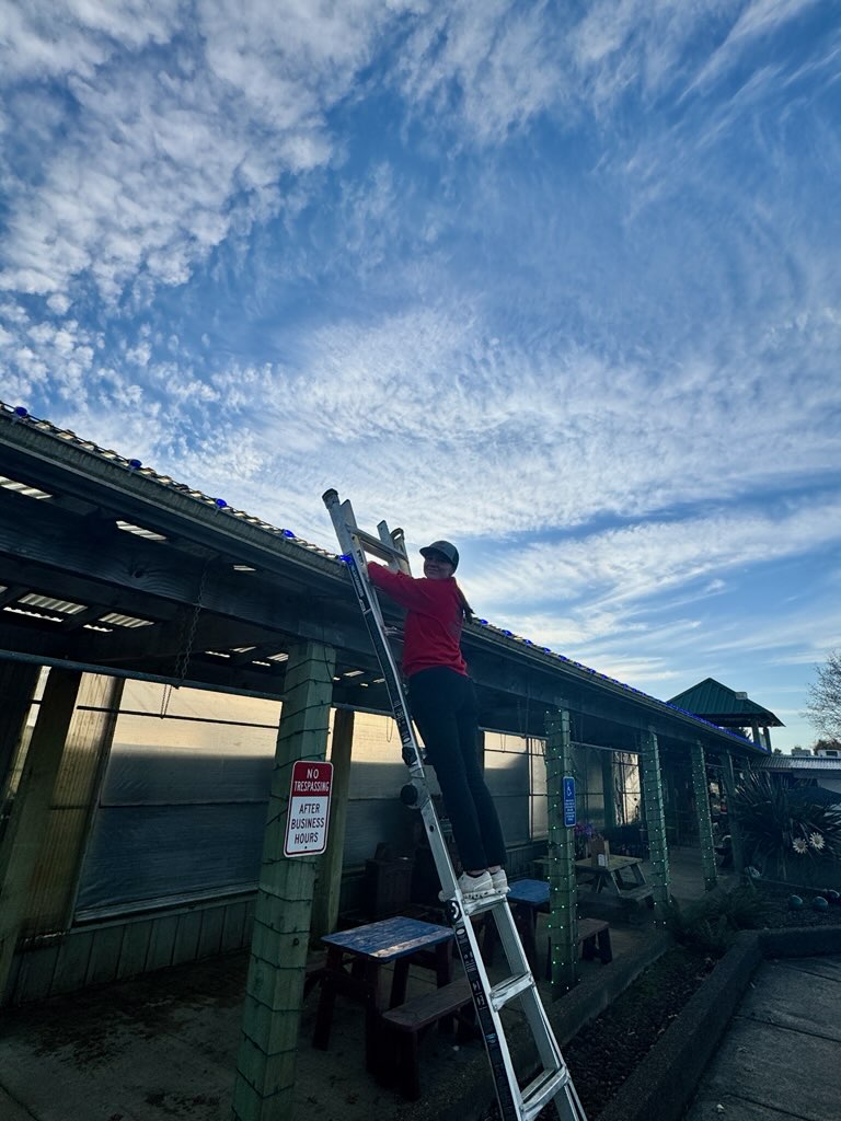 Installer on a ladder clipping lights along a covered walkway roof
