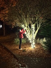 Installer wrapping a tree trunk in lights at night