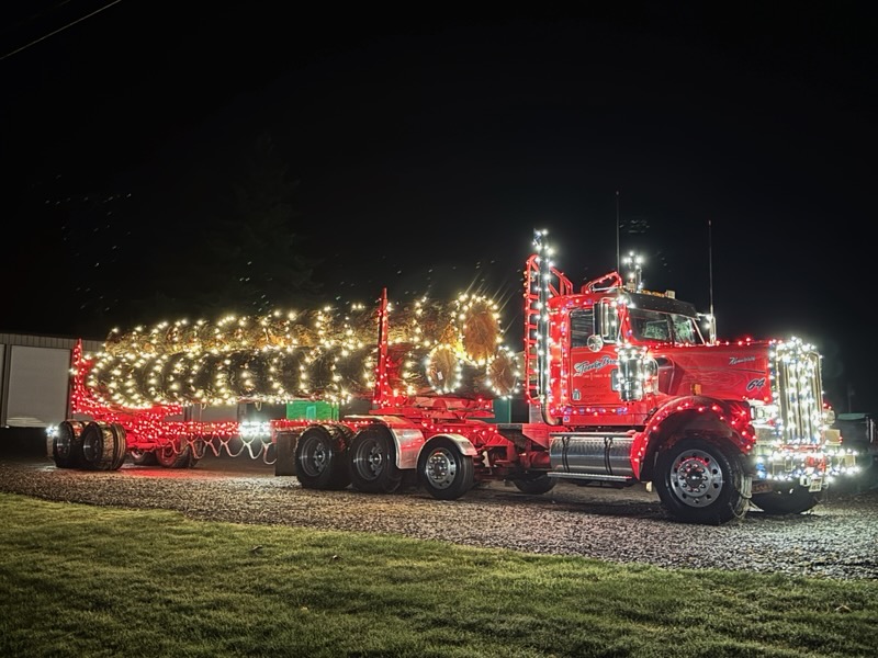 Side view of a log truck lit with red and warm white Christmas lights